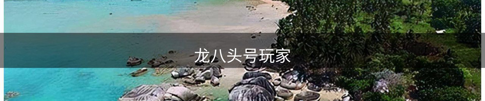 龙八国际·头号玩家|Home